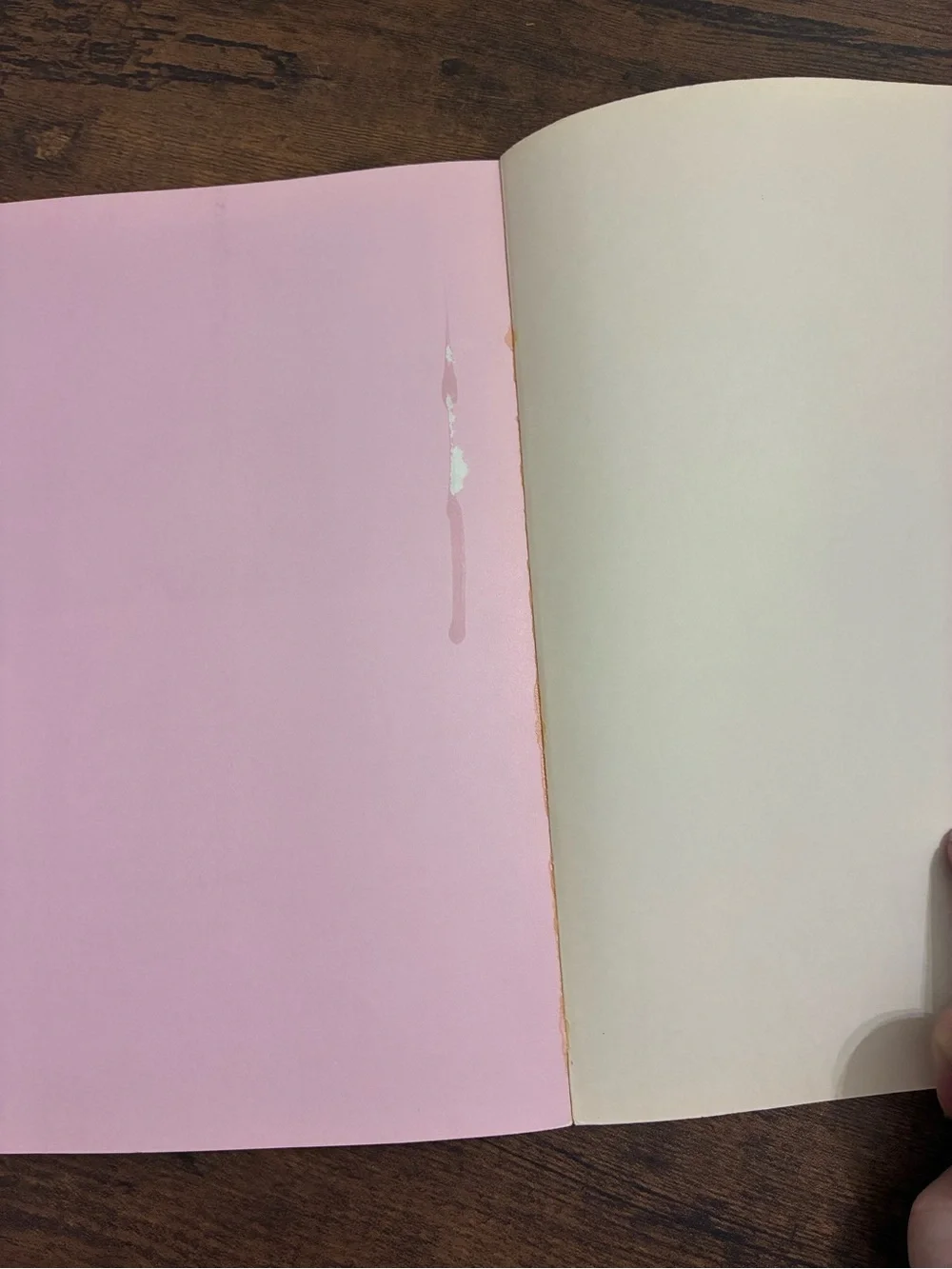 Vintage Saved by the Bell Behind the Scenes Book